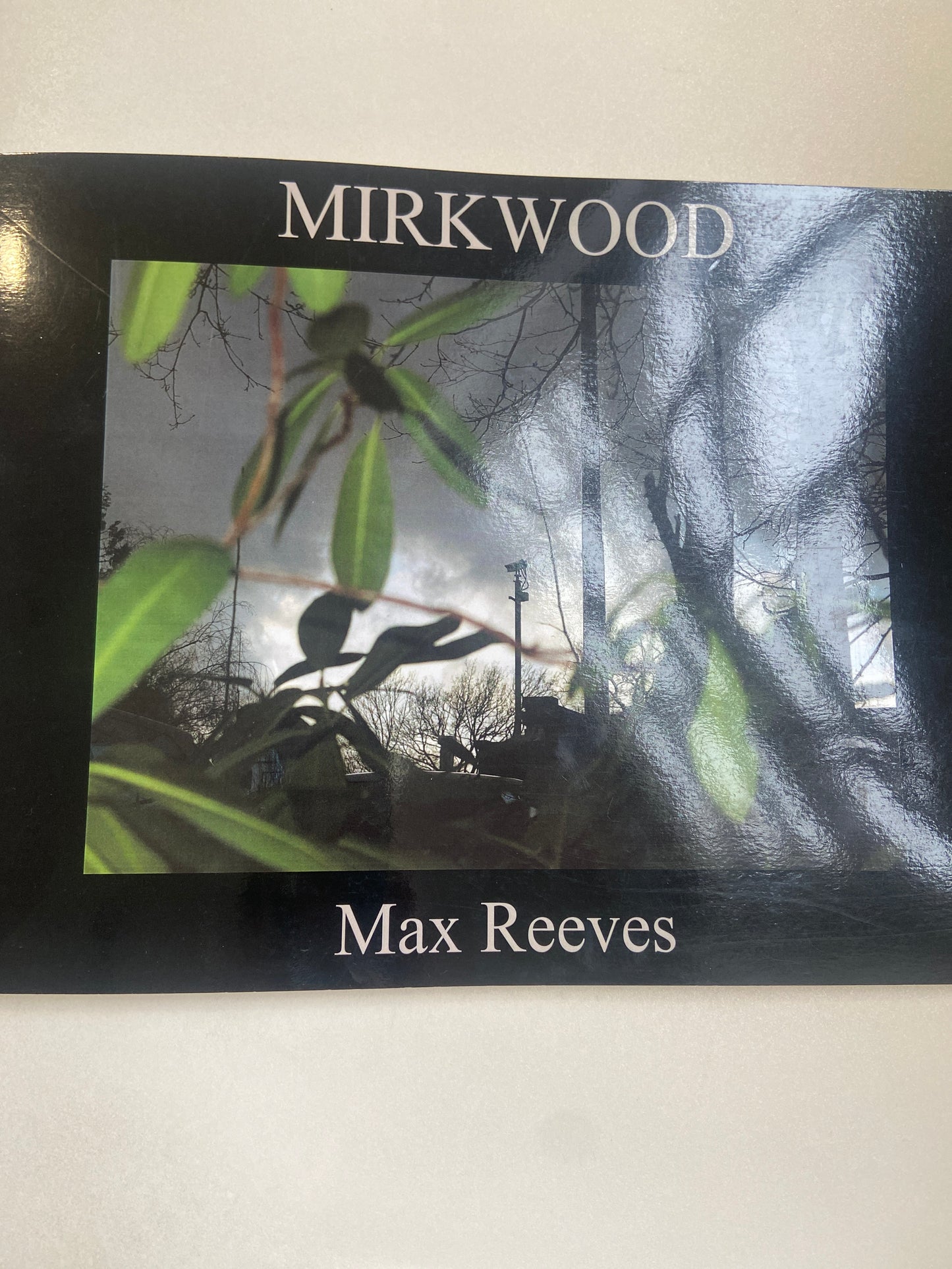 Max Reeves, Mirkwood book