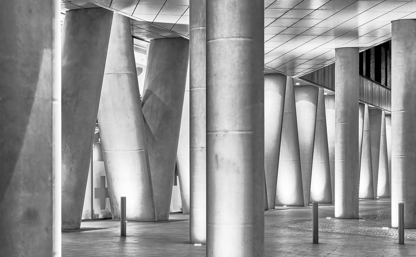 Peter Ball / Tonal Study