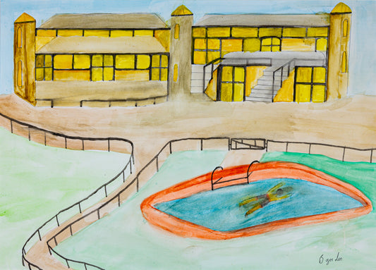 Barrington / The Swimmer