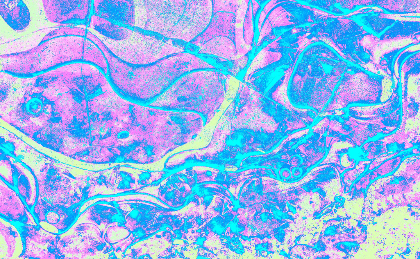 Peter Ball / Weird Ice